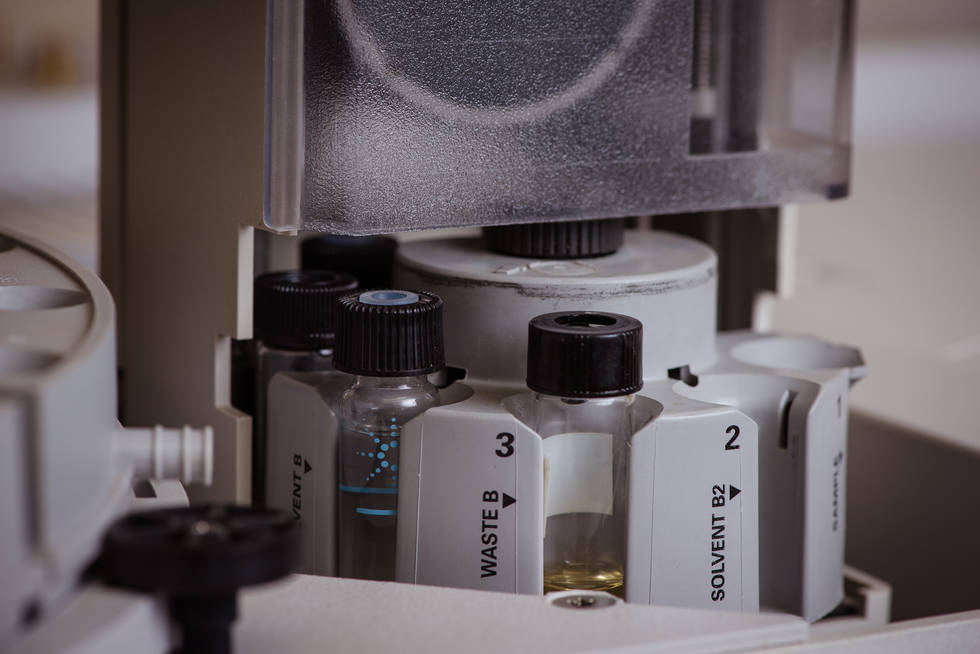 State of the art facilities for the growing, distillation, specification and distribution of essential oils. Borne from decades of discovery, creativity, refinement, and expansion. That's the SunWest Ingredients difference!