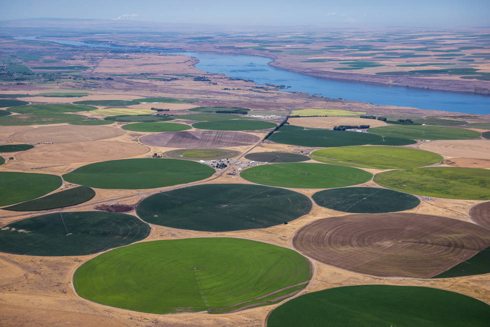 To support the farm's continued growth, a second location was acquired near Hermiston, Oregon, located in the Columbia River Basin.